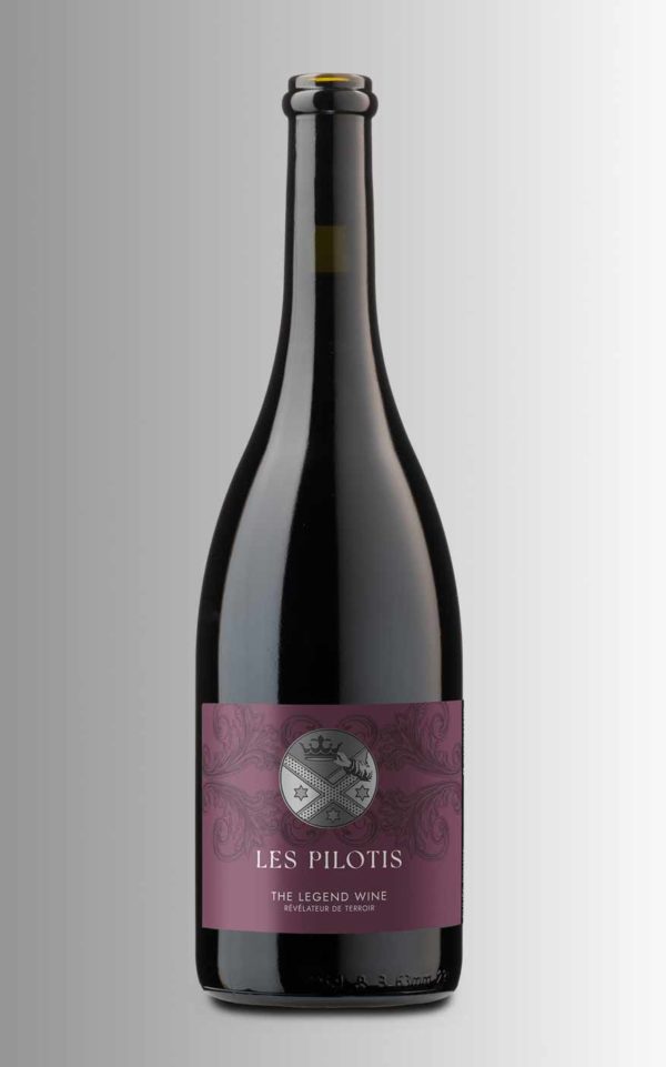 Carton Les Pilotis 6btls