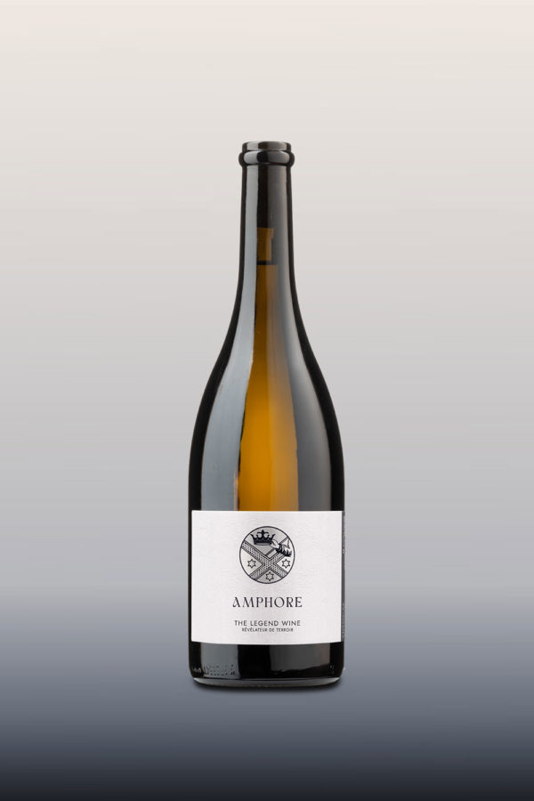 Amphore